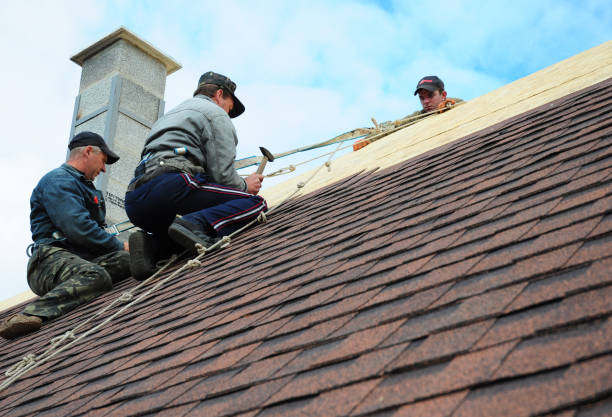 Best Roof Gutter Cleaning  in Cherryville, NC