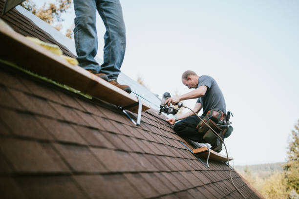 Roof Gutter Cleaning in Cherryville, NC